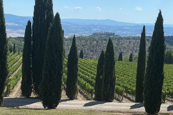 Brunello Wine Tour from Siena with a Licensed Sommelier Driver, Lunch and Boutique Cellars