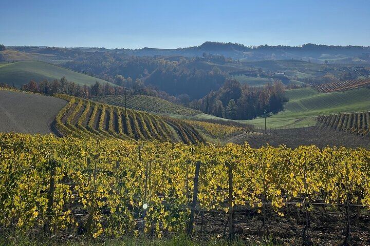 Brunello Wine Tour from Siena with a Licensed Sommelier Driver, Lunch and Boutique Cellars (11/11)