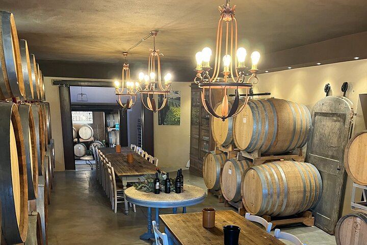 Brunello Wine Tour from Siena with a Licensed Sommelier Driver, Lunch and Boutique Cellars (1/11)