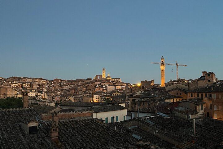 Brunello Wine Tour from Siena with a Licensed Sommelier Driver, Lunch and Boutique Cellars (5/11)