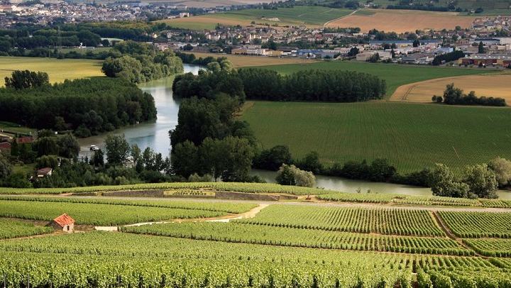 Private Champagne Tour from Paris, WSET 3 Guide: Sixth-Generation Grower, Moët & Chandon (2/11)