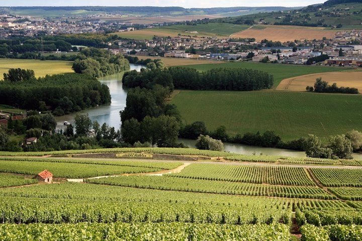 Private Champagne Tour from Paris, WSET 3 Guide: Sixth-Generation Grower, Moët & Chandon (2/11)