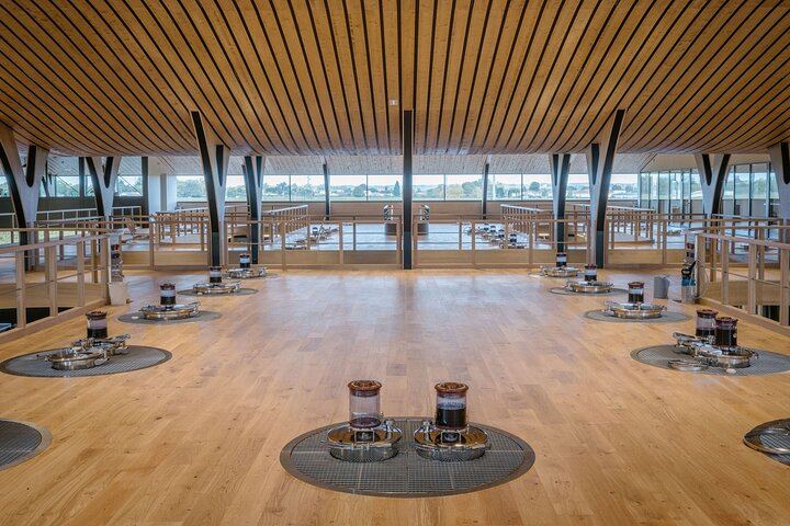 Private Customizable Médoc Wine Tour with Lunch Stop: Saint-Julien, Pauillac and Margaux (8/9)