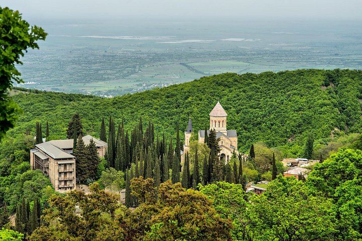 Kakheti Day Trip from Tbilisi: Sighnaghi Wall Walk, Telavi Plane Tree and Wine Cellar (4/12)