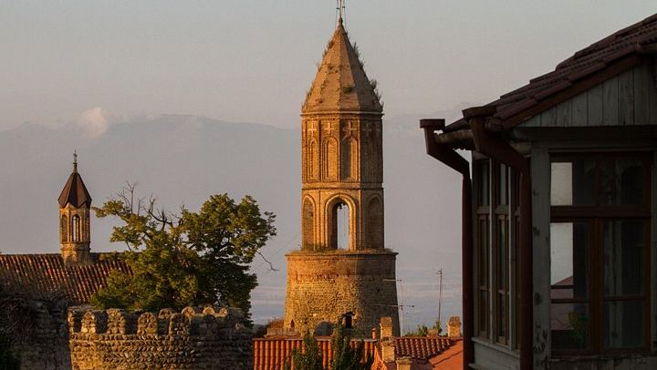 Kakheti Day Trip from Tbilisi: Sighnaghi Wall Walk, Telavi Plane Tree and Wine Cellar (2/12)