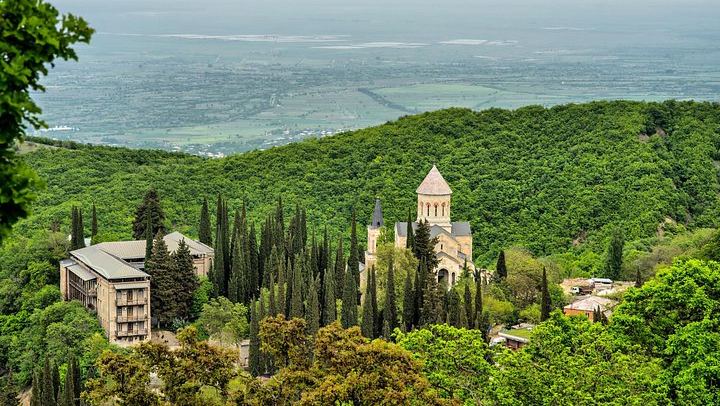 Kakheti Day Trip from Tbilisi: Sighnaghi Wall Walk, Telavi Plane Tree and Wine Cellar (4/12)
