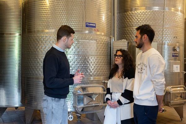Private Langhe Wine Tour with a Sommelier Guide: Two Barolo and Barbaresco Wineries