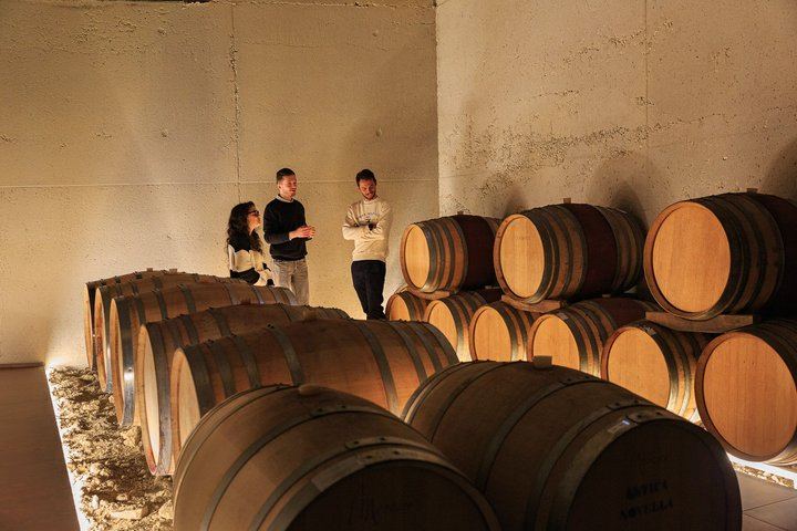 Private Langhe Wine Tour with a Sommelier Guide: Two Barolo and Barbaresco Wineries (1/9)