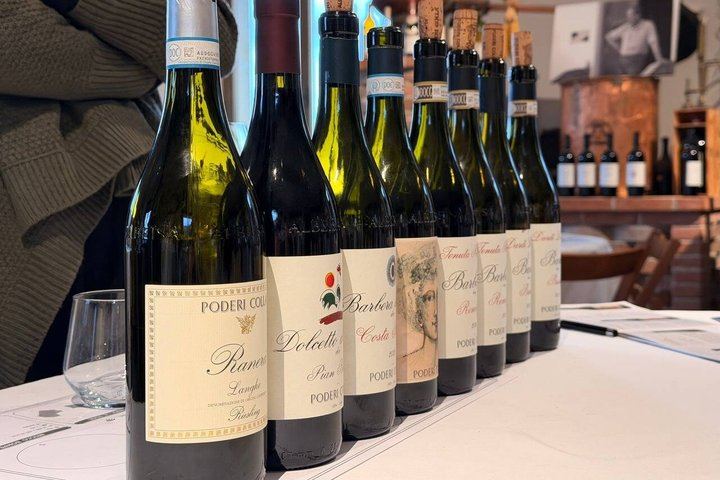 Private Langhe Wine Tour with a Sommelier Guide: Two Barolo and Barbaresco Wineries (5/9)