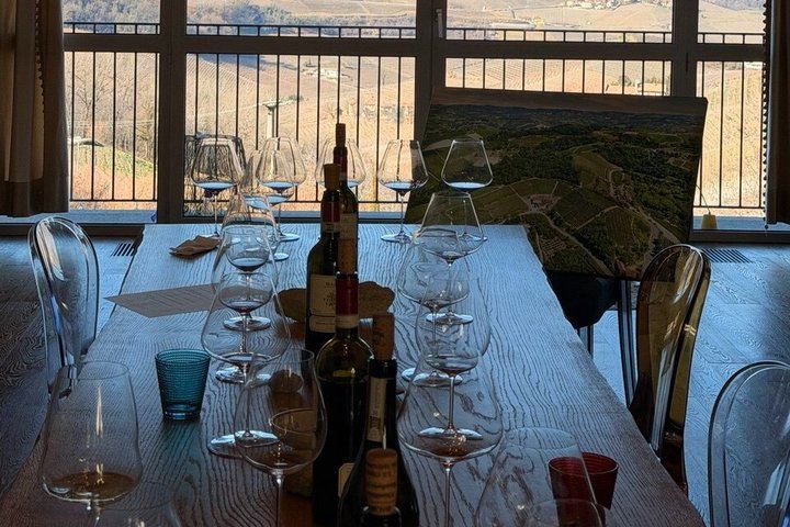 Private Langhe Wine Tour with a Sommelier Guide: Two Barolo and Barbaresco Wineries (4/9)