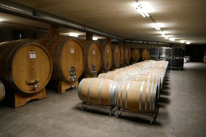 Private Langhe Wine Tour with a Sommelier Guide: Two Barolo and Barbaresco Wineries (8/9)