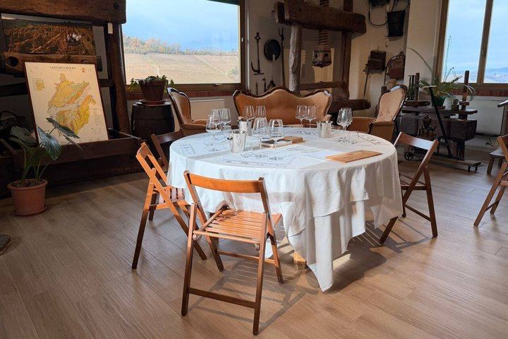 Private Langhe Wine Tour with a Sommelier Guide: Two Barolo and Barbaresco Wineries (2/9)
