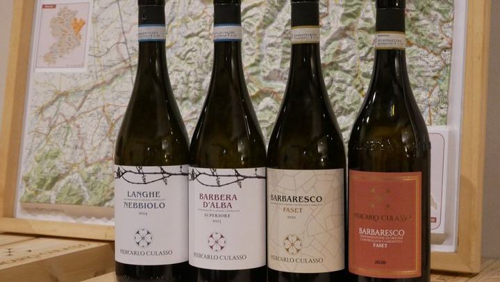 Private Langhe Wine Tour with a Sommelier Guide: Two Barolo and Barbaresco Wineries (3/9)