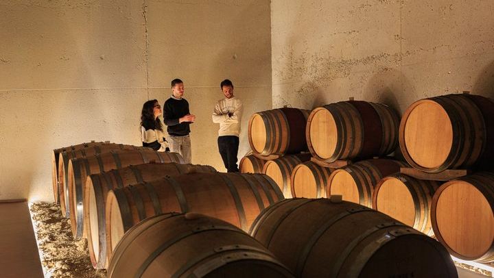 Private Langhe Wine Tour with a Sommelier Guide: Two Barolo and Barbaresco Wineries (1/9)