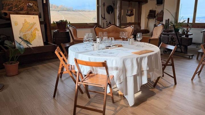 Private Langhe Wine Tour with a Sommelier Guide: Two Barolo and Barbaresco Wineries (2/9)
