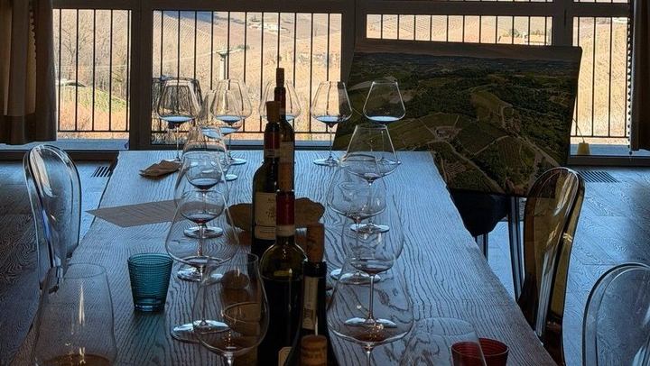 Private Langhe Wine Tour with a Sommelier Guide: Two Barolo and Barbaresco Wineries (4/9)