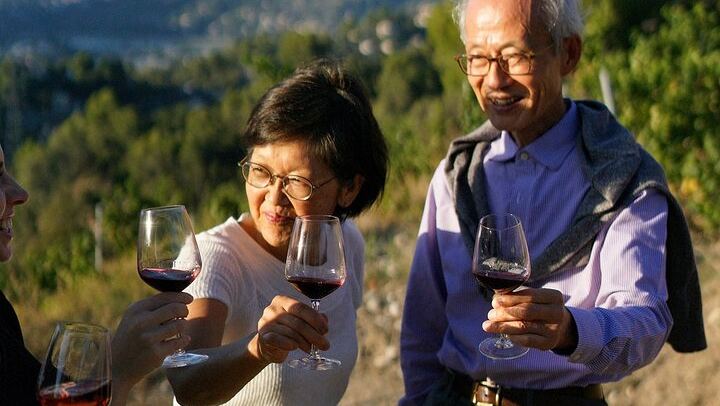 Nice Vineyard Visit and Winery Tour with Sommelier, 3 Options from Group to Private (4/12)