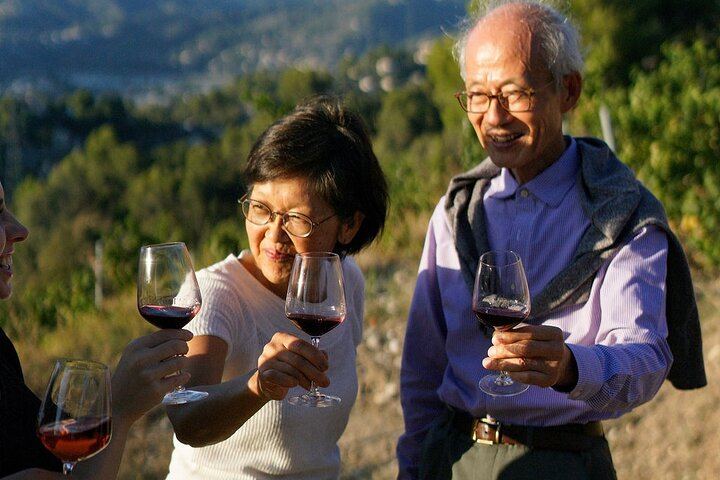 Nice Vineyard Visit and Winery Tour with Sommelier, 3 Options from Group to Private (4/12)