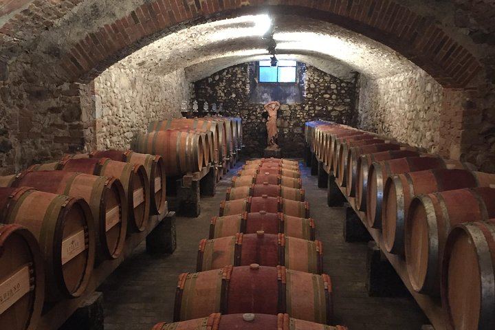 Organic and Biodynamic Chianti Small Family Wineries: Greve, Montefioralle and Two Estates (6/11)