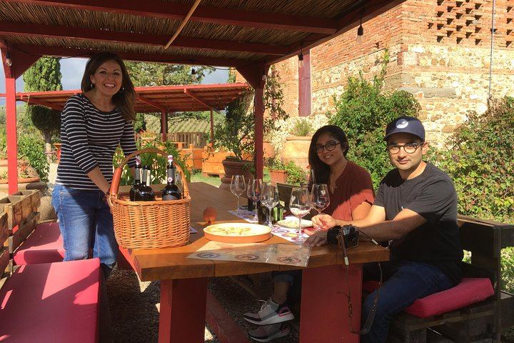 Organic and Biodynamic Chianti Small Family Wineries: Greve, Montefioralle and Two Estates (7/11)