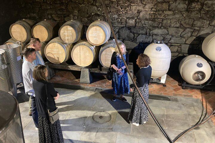 Organic and Biodynamic Chianti Small Family Wineries: Greve, Montefioralle and Two Estates (10/11)
