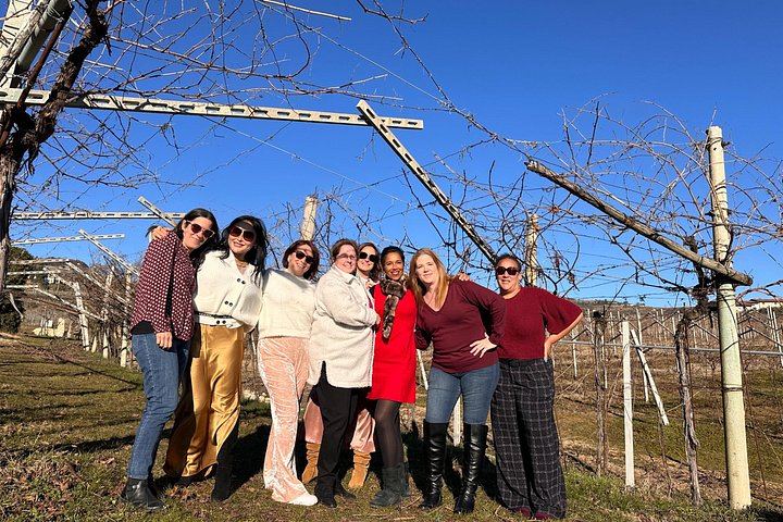 Valpolicella Amarone Day from Verona: Two Boutique Wineries, Limited-Edition Wines, Lunch (3/12)