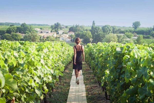 Champagne Day Trip from Paris: Mercier Cellar Train, Dom Caudron, Verzenay Vineyard Picnic