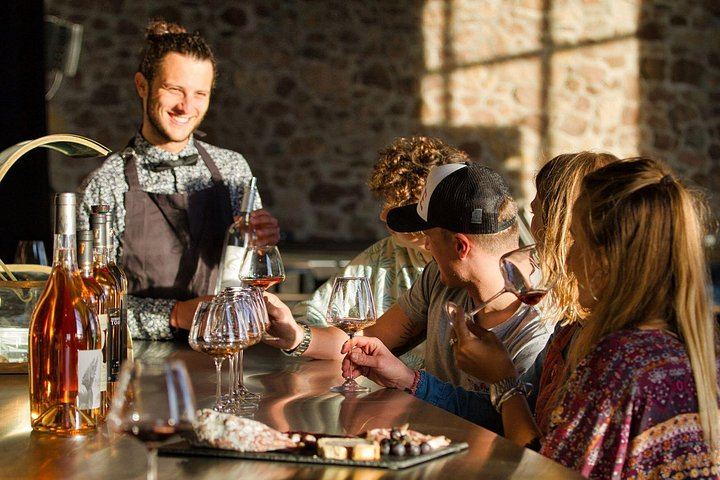 Private Provence Wine Day from Nice: Saint-Martin, Font du Broc and a Third Organic Estate (2/12)