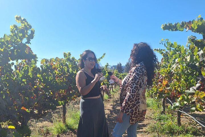Private Organic Wine Tour in Casablanca Valley with Boutique Wineries and Lunch (10/12)