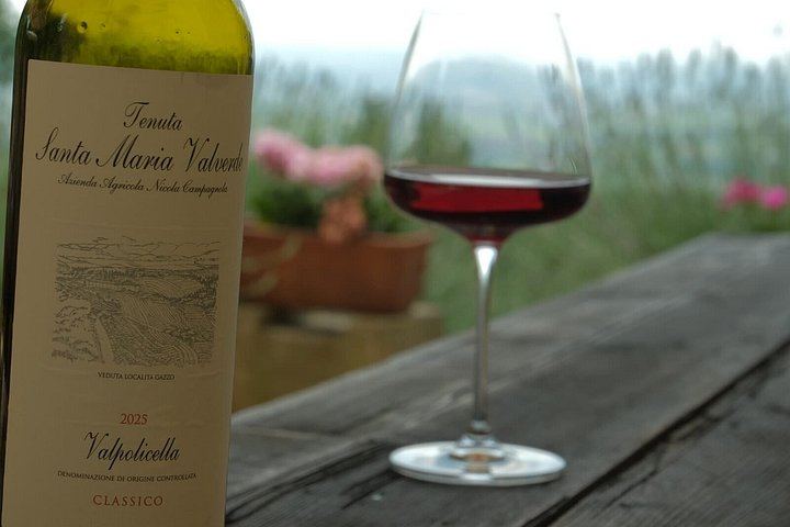 Valpolicella Family Winery Visit with the Winemaker: Drying Room and 17th-Century Cellar (2/12)