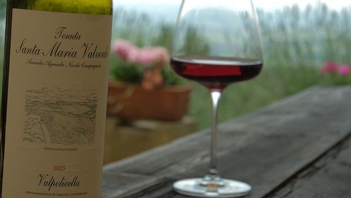 Valpolicella Family Winery Visit with the Winemaker: Drying Room and 17th-Century Cellar (2/12)