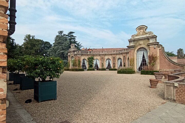Langhe Wine Day Trip from Turin by Van: Alta Langa Cellar, Village Lunch, Barolo Tasting (11/12)