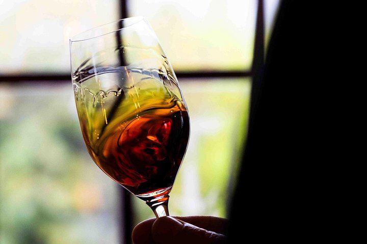 Private Douro Valley Day with Rita Teixeira: Wine Tasting, Wooden Boat and Family Lunch (2/3)