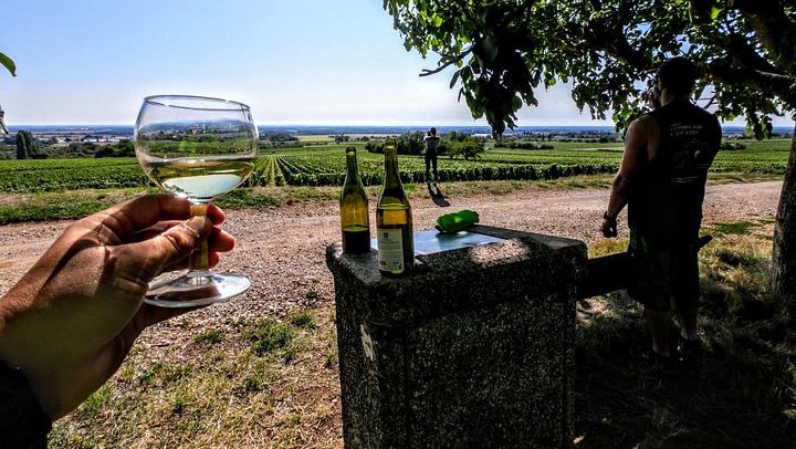 Guided Bike Ride and Vineyard Tasting in Burgundy, Starting from Chenôve (1/5)