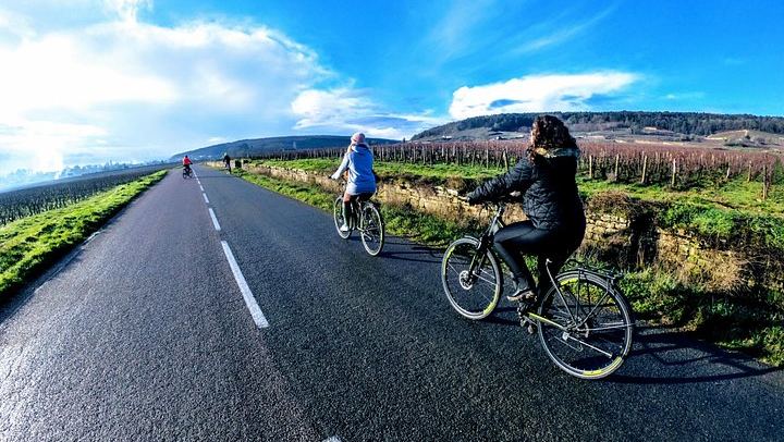 Guided Bike Ride and Vineyard Tasting in Burgundy, Starting from Chenôve (2/5)