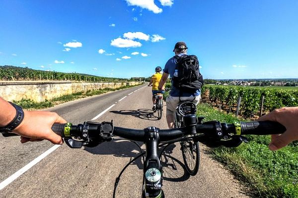 Guided Bike Ride and Vineyard Tasting in Burgundy, Starting from Chenôve