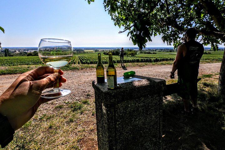 Guided Bike Ride and Vineyard Tasting in Burgundy, Starting from Chenôve (1/5)