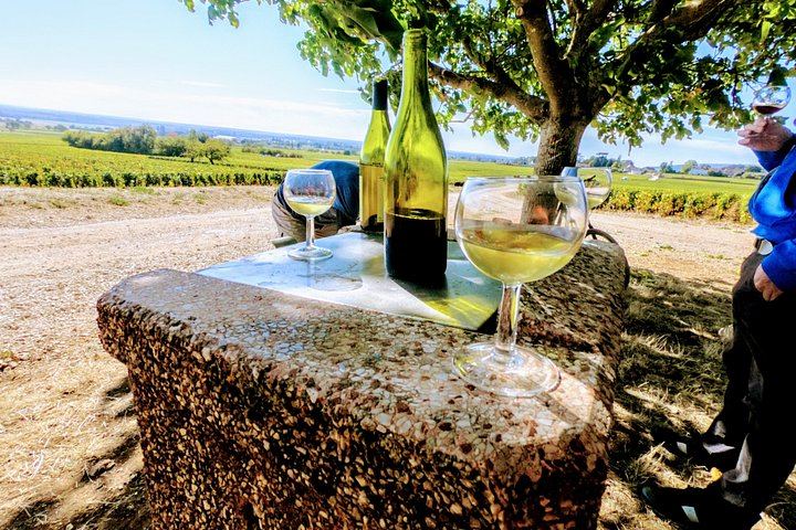 Guided Bike Ride and Vineyard Tasting in Burgundy, Starting from Chenôve (5/5)