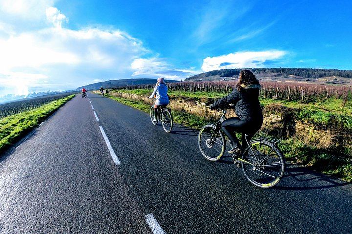 Guided Bike Ride and Vineyard Tasting in Burgundy, Starting from Chenôve (2/5)