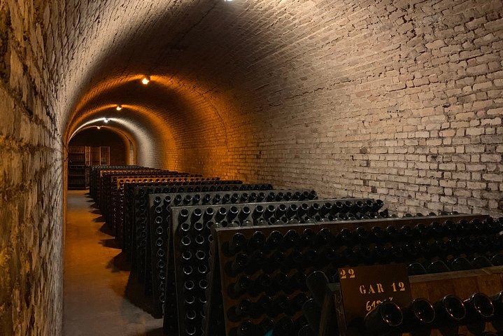 Private Champagne Tour from Paris, WSET 3 Guide: Sixth-Generation Grower, Moët & Chandon (5/11)