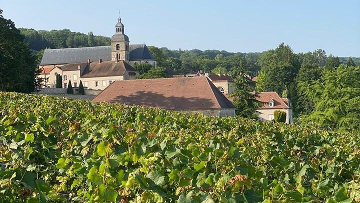 Small-Group Champagne Tour from Paris, Sommelier Guide: Place d'Italie Pickup, 2 Wineries (3/12)