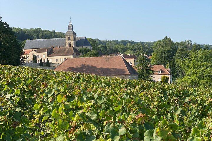 Small-Group Champagne Tour from Paris, Sommelier Guide: Place d'Italie Pickup, 2 Wineries (3/12)