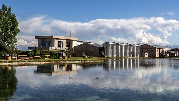 Private Uco Valley Wine Tour from Mendoza: La Azul Tasting and Bousquet Organic Lunch (1/12)