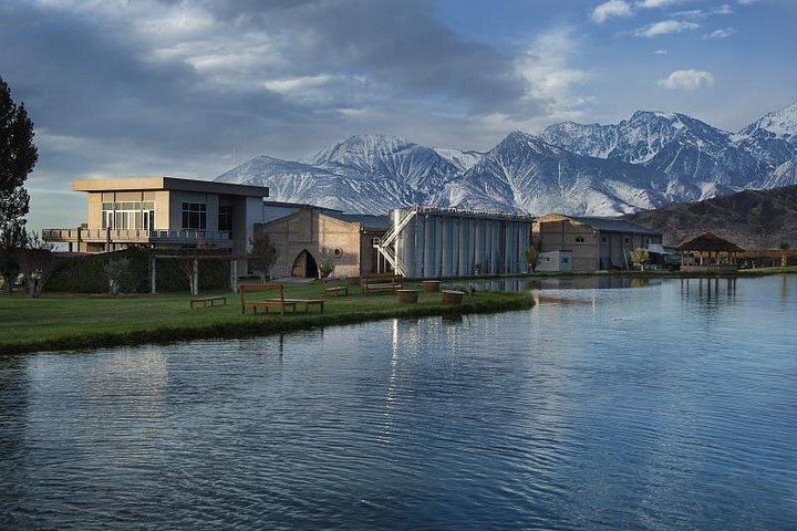 Uco Valley Luxury Wine Day: Salentein, Michelini i Mufatto and Andeluna Lunch (12/12)