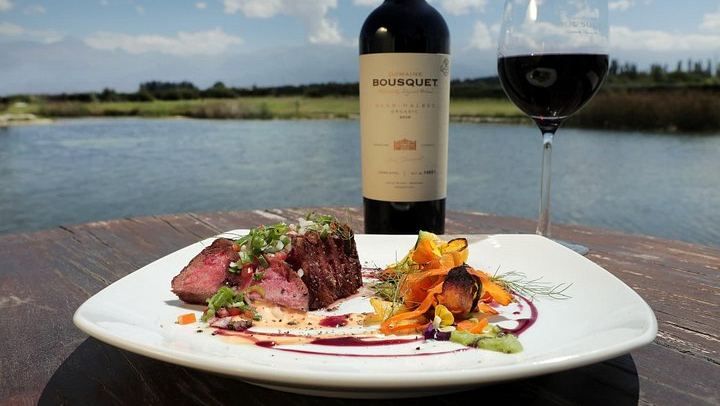 Private Uco Valley Wine Tour from Mendoza: La Azul Tasting and Bousquet Organic Lunch (3/12)