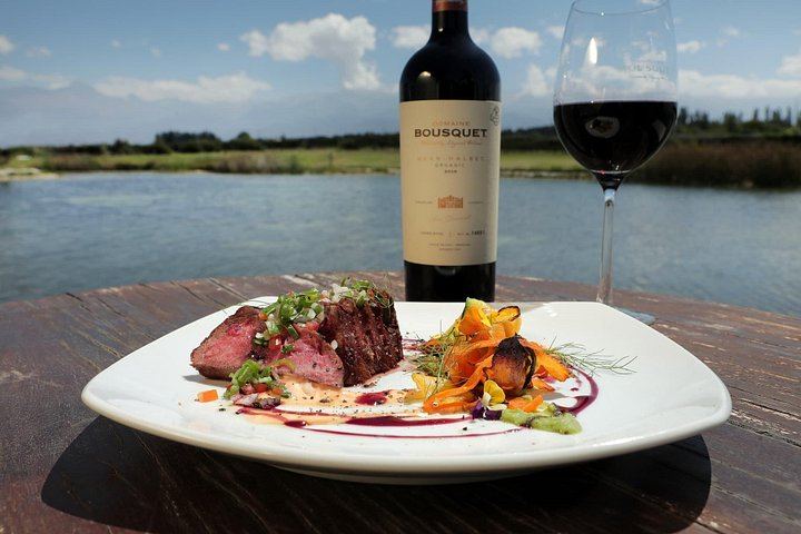 Private Uco Valley Wine Tour from Mendoza: La Azul Tasting and Bousquet Organic Lunch (3/12)
