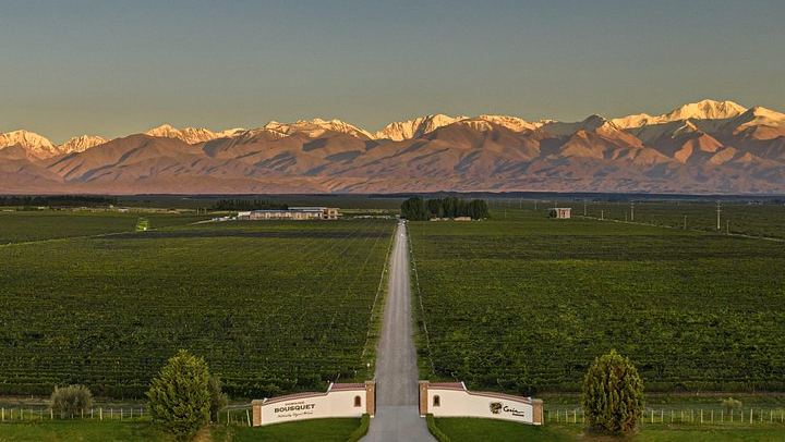 Private Uco Valley Wine Tour from Mendoza: La Azul Tasting and Bousquet Organic Lunch (2/12)