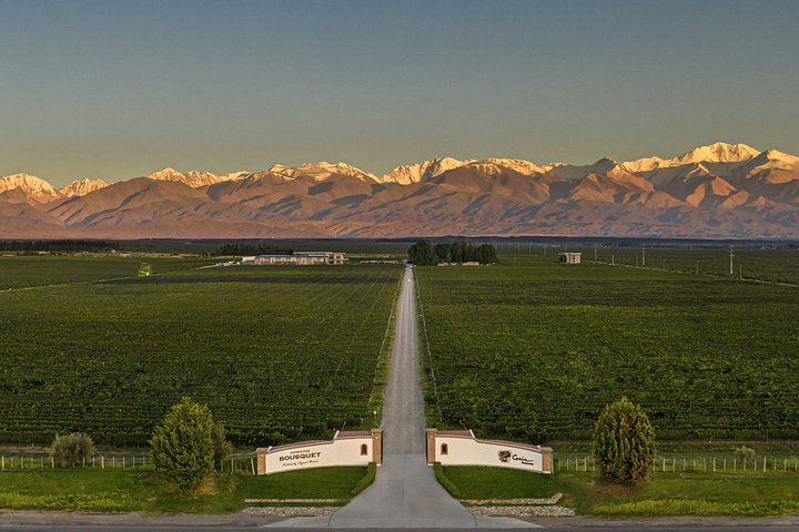 Private Uco Valley Wine Tour from Mendoza: La Azul Tasting and Bousquet Organic Lunch (2/12)
