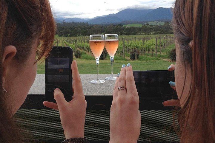 Yarra Valley Winery Day Tour from Melbourne with Two-Course Lunch and Tastings (9/12)