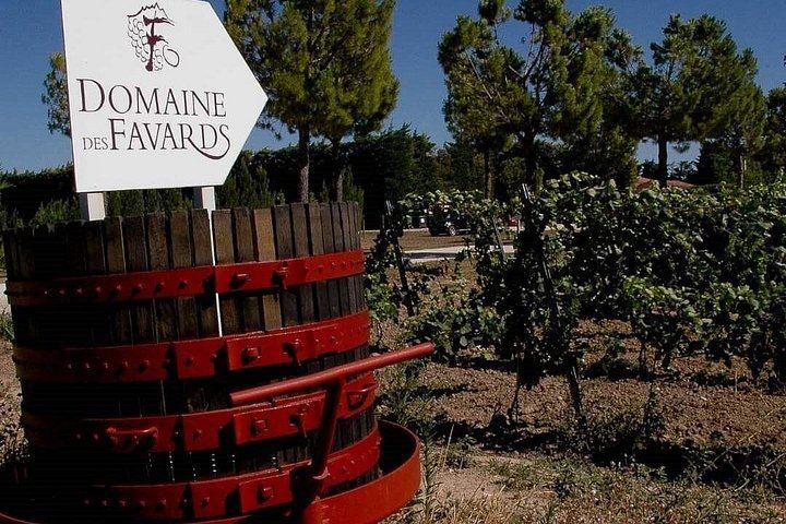 Vintage Solex Ride Through the Vineyards of Domaine des Favards, with Organic Wine Tasting (6/10)